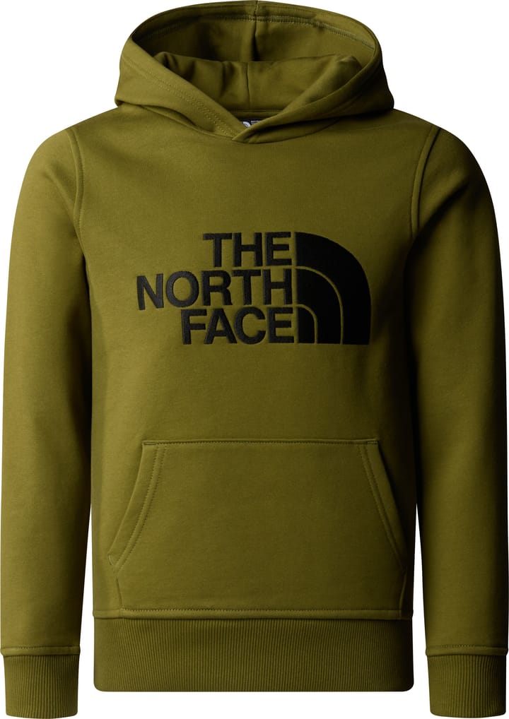 North face youth drew peak hoodie online